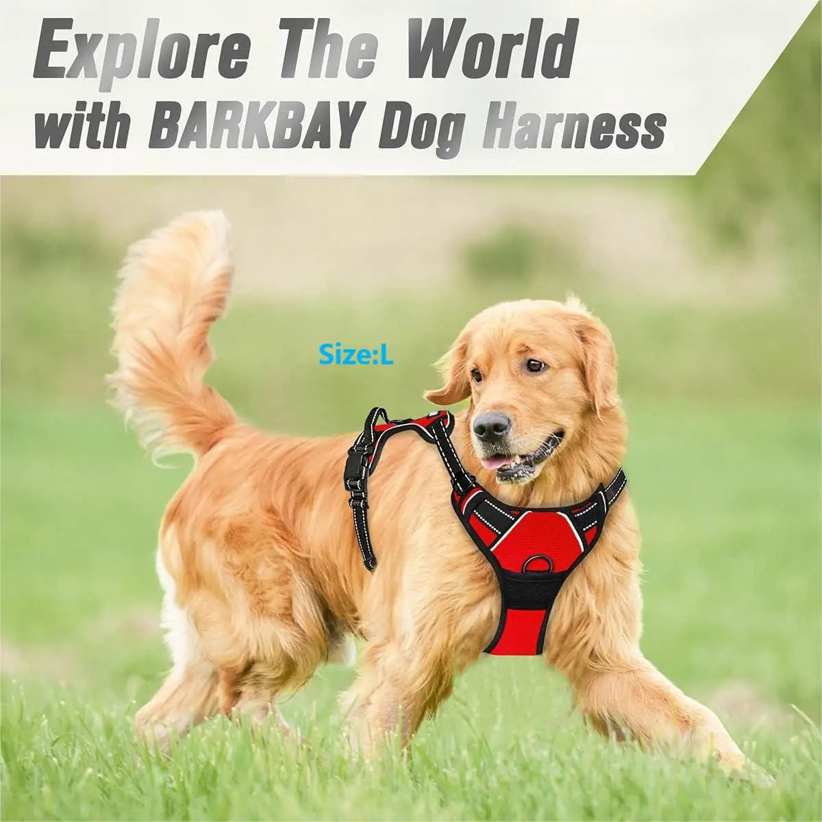 Easy Walk No-Pull Dog Harness – Front Clip, Reflective & Comfort Handle