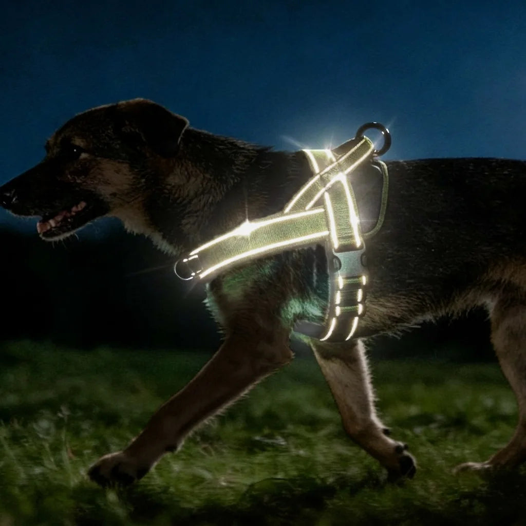 Tactical No-Pull Dog Harness – Heavy-Duty, Reflective & Padded for Large Dogs
