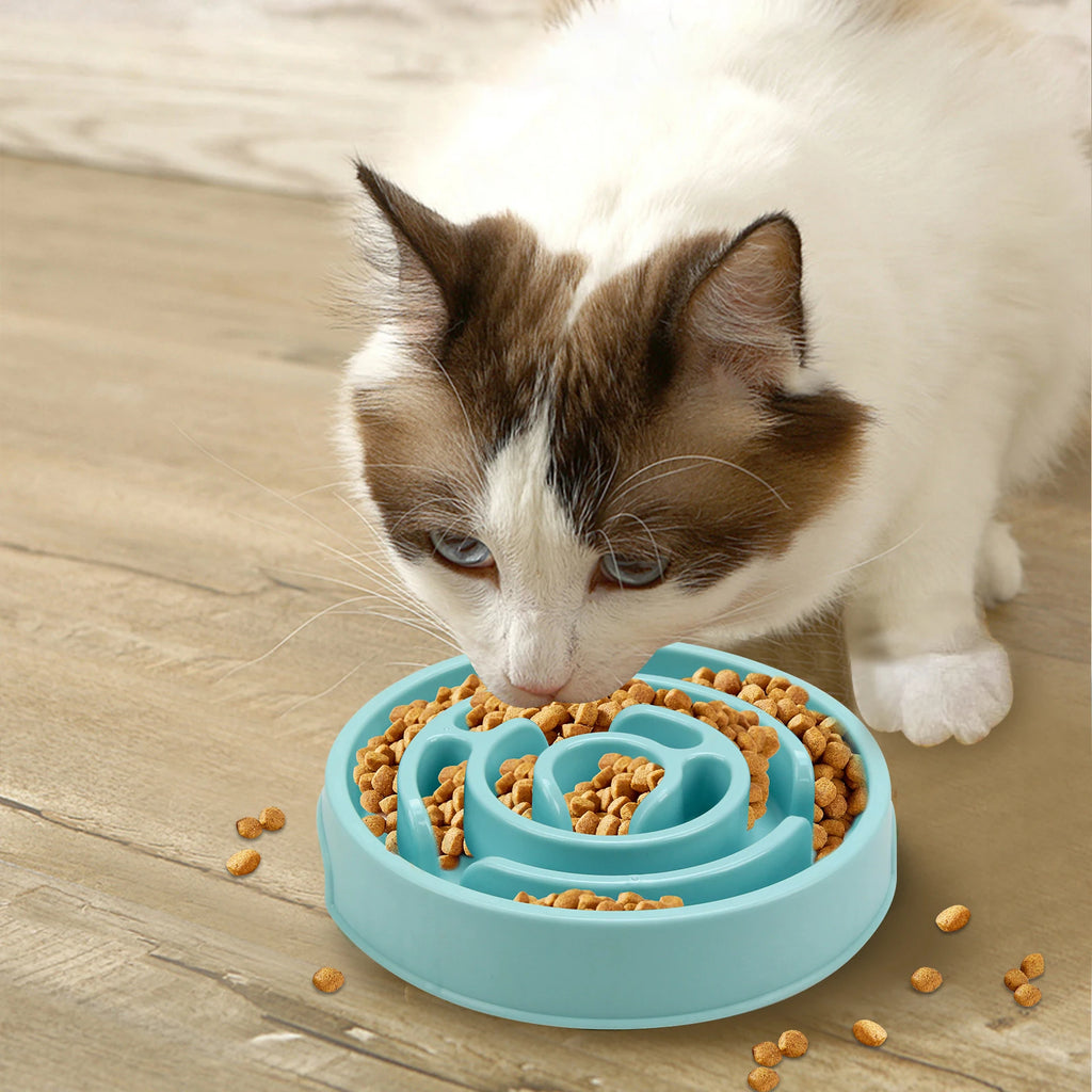 Slow Feeder Dog Bowl – Anti-Gulp Maze Bowl for Healthier Eating, Non-Slip Base