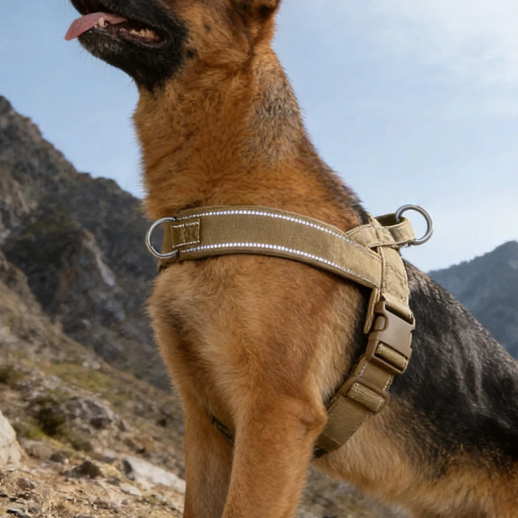 Tactical No-Pull Dog Harness – Heavy-Duty, Reflective & Padded for Large Dogs