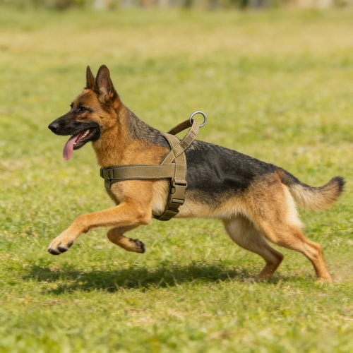 Tactical No-Pull Dog Harness – Heavy-Duty, Reflective & Padded for Large Dogs